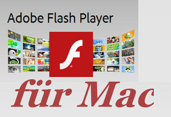 flash player mac safari download